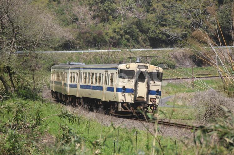 キハ47　気動車　列車 気動車,キハ47,列車の写真素材