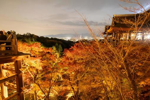 三重塔ライトアップと紅葉と京都タワー６ 清水寺,三重塔,ライトアップの写真素材