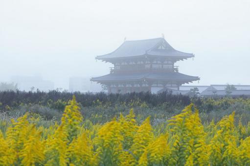 平城京跡 朱雀門 朝靄 平城京跡 朱雀門 朝靄 朱雀門,門,朝の写真素材