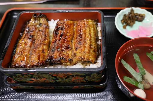 うな重 うな重,鰻,うなぎの写真素材