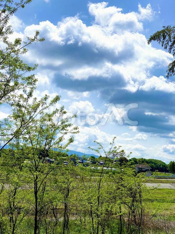 雨上がりの空 背景,風景,素材の写真素材