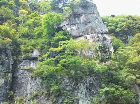 渓谷 渓谷の写真