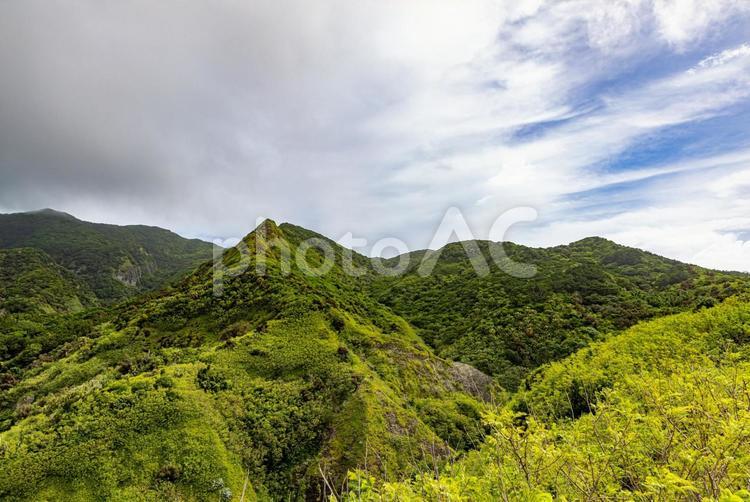 小笠原諸島・母島　小剣先山から望む風景 小笠原諸島,母島,小剣先山の写真素材