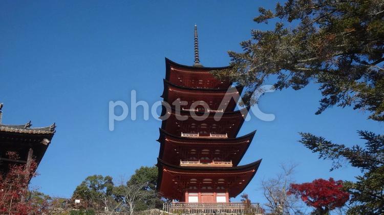 宮島　五重塔 宮島,広島県,五重塔の写真素材