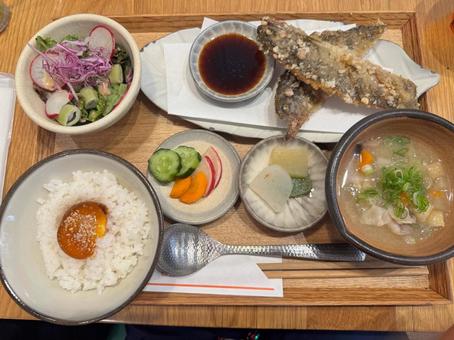 栄養満点の和食ごはん 栄養満点の和食ごはん 和食,ごはん,白米の写真素材