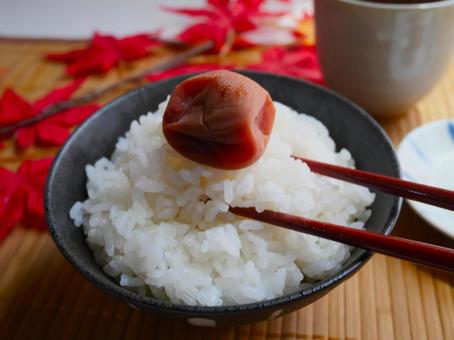 白いご飯と梅干し.3 白いご飯と梅干し.3 白ご飯,ご飯,新米の写真素材