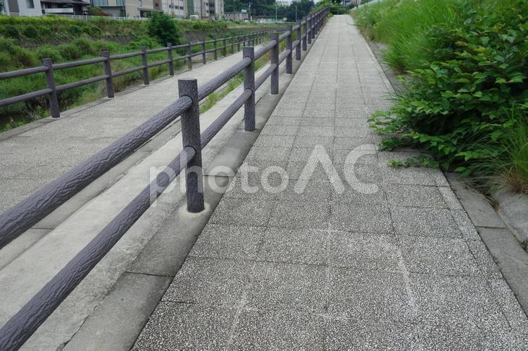 川沿いの道 道,川沿い,遊歩道の写真素材