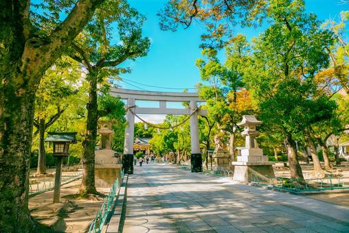【兵庫】神戸駅周辺の湊川神社 湊川神社,兵庫,神戸の写真素材