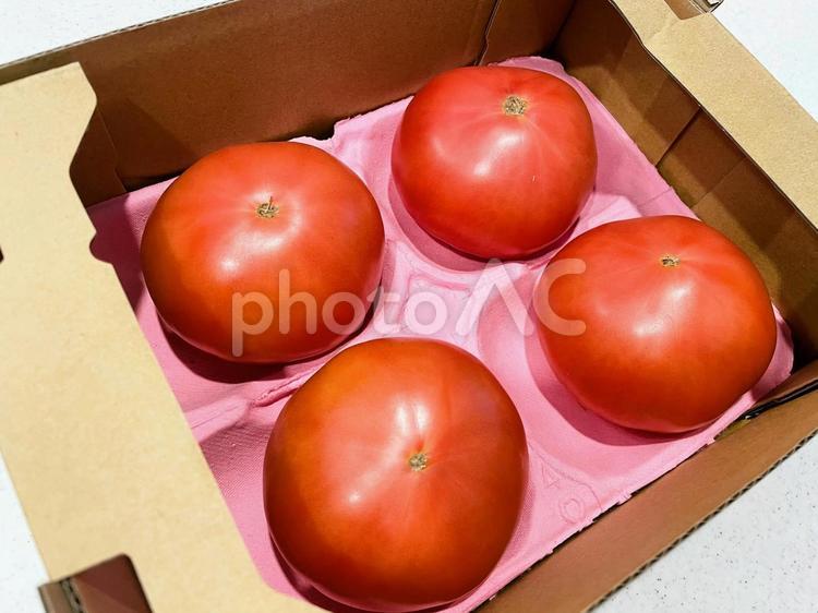 箱入りトマト（２L）１１ トマト,箱入り,大きいの写真素材