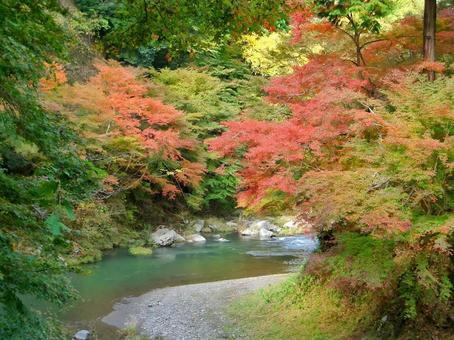 美しい紅葉と川 美しい紅葉と川 紅葉,秋,京都の写真素材