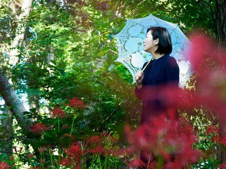 40:彼岸花を静かに眺める女性 40:彼岸花を静かに眺める女性 彼岸花,ミステリアス,悲しげの写真素材