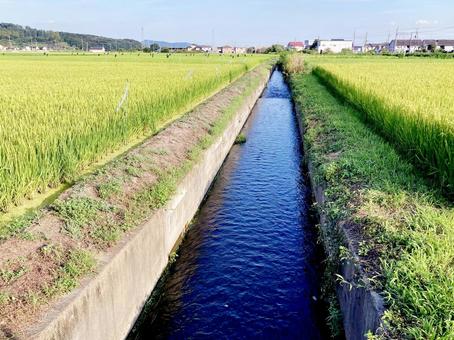 用水路 用水路の写真