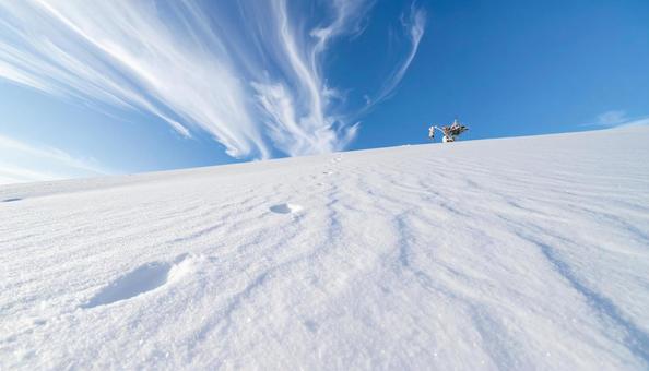 冬の雪、青い空 冬の雪、青い空の写真