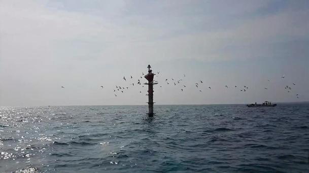 海上 標識 海上 標識の写真