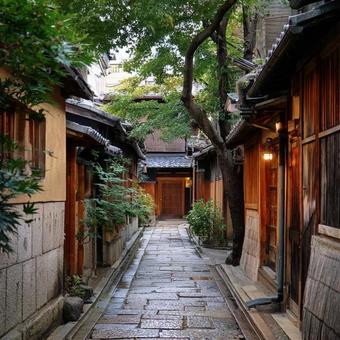 緑に囲まれた静かな京都の街並み 緑に囲まれた静かな京都の街並みの写真