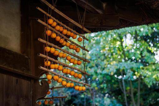柿 あんぽ柿,干し柿,柿の写真素材