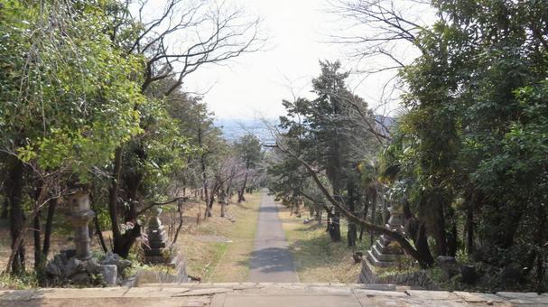 金生山神社　参道からの眺望 金生山神社,蔵王権現宮,神社仏閣の写真素材