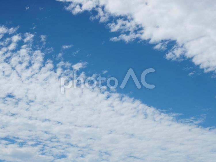 空　白い雲 空,白い,雲の写真素材