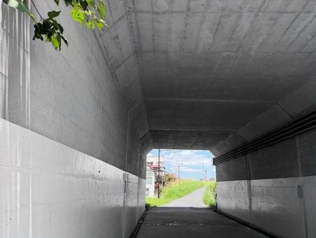 夏へのトンネルの写真