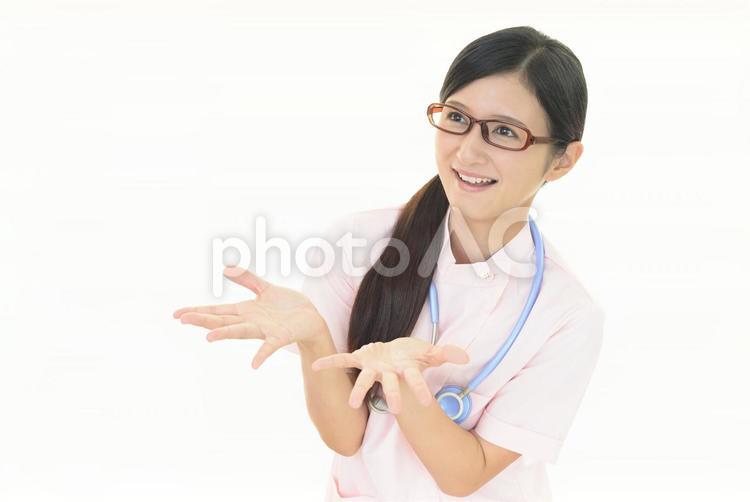 笑顔の看護師　案内 女性,医療,看護師の写真素材