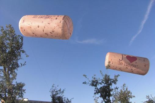 fete de vin france,vin,ワインの写真素材