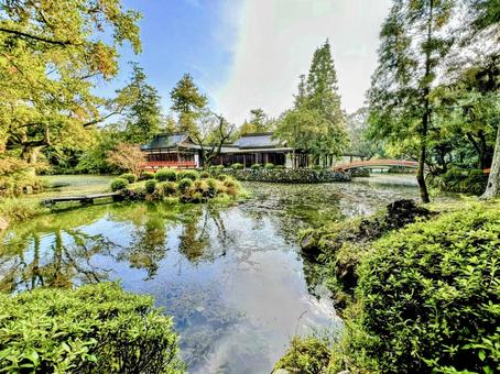 宇佐神宮 宇佐神宮,神社,パワースポットの写真素材