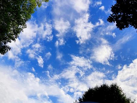 秋空 秋空の写真