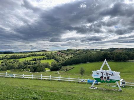羊と雲の丘 北海道,士別市,観光名所の写真素材