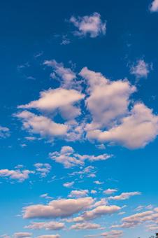 空 空,青,綺麗の写真素材