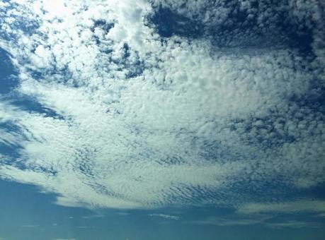 秋の空と雲 秋の空と雲の写真
