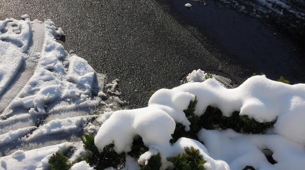 雪景色 雪景色の写真