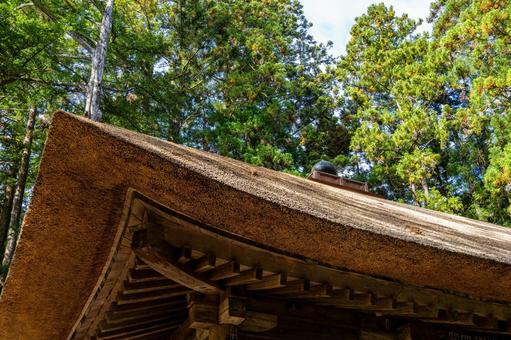 勝楽山高蔵寺阿弥陀堂⑿ 秋,紅葉,勝楽山高蔵寺阿弥陀堂の写真素材