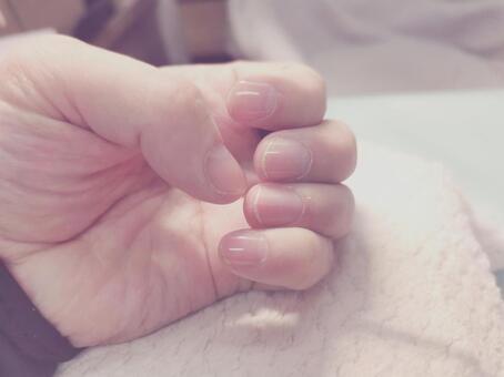 綺麗な手 ネイル,美容,綺麗な手の写真素材