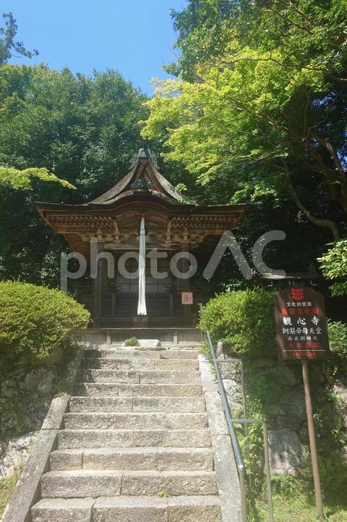大阪府-観心寺-訶梨帝母天堂（鎮守堂） 観心寺,寺,檜尾山の写真素材