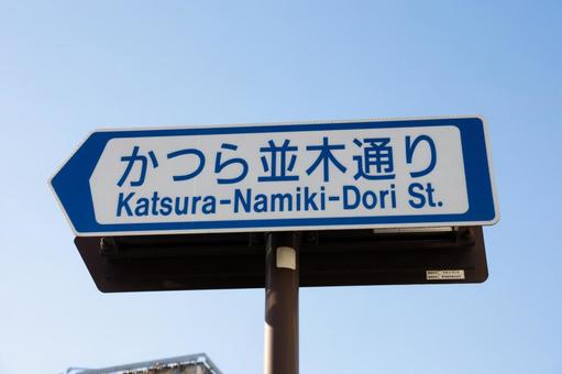 かつら並木通り かつら並木通り かつら並木通り,千住,足立区の写真素材
