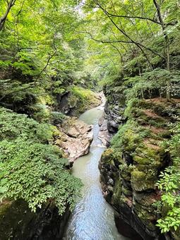 緑豊かな渓谷と清流の風景 渓谷,清流,自然の写真素材