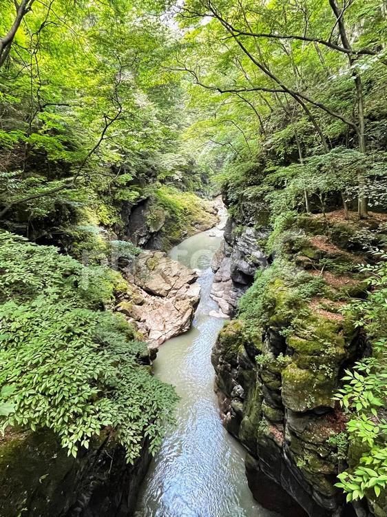 緑豊かな渓谷と清流の風景 渓谷,清流,自然の写真素材
