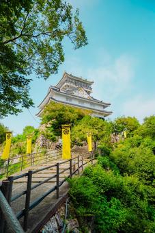 【岐阜】山頂の岐阜城 2025 【岐阜】山頂の岐阜城 2025 岐阜,岐阜公園,パワースポットの写真素材
