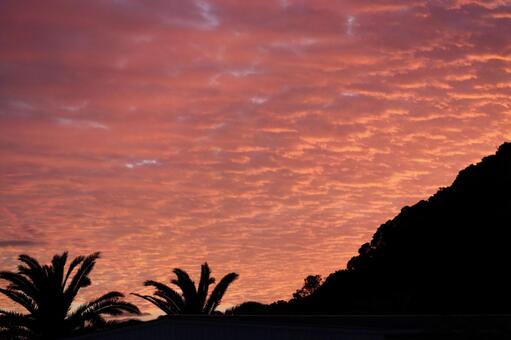 夕暮れの雲 夕方,雲,陰の写真素材