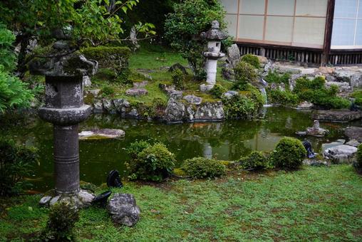 庭園 庭園の写真