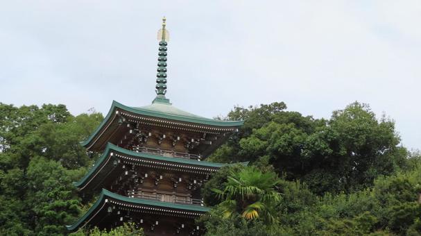 隨念寺 三重塔 隨念寺 三重塔の写真