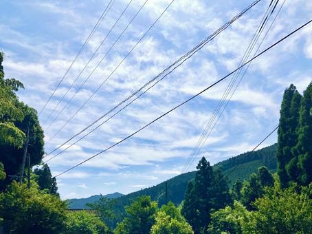 夏の青空と木々 夏の青空と木々の写真