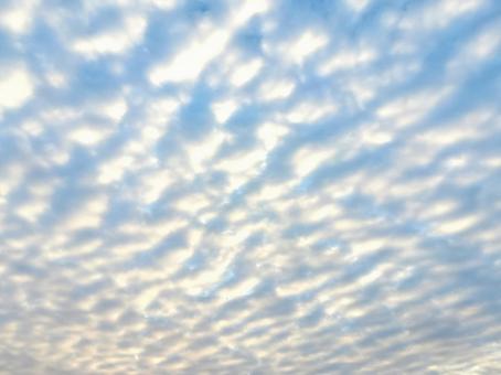 空一面のイワシ雲 空一面のイワシ雲の写真