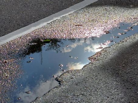 Photo, puddle, after the rain, asphalt, 