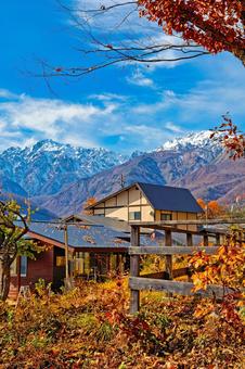 雪化粧の北アルプスと紅に包まれた白馬の里 長野,白馬,紅葉の写真素材