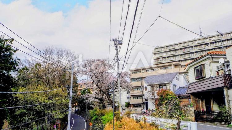 青梅市の春・花曇りの桜＆河辺駅周辺 桜,青梅市,春の写真素材