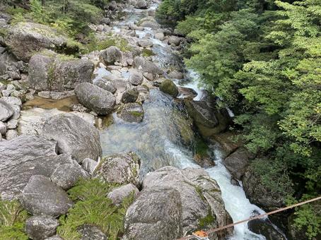 森の水(屋久島) 森の水(屋久島) 水,流れ,水流の写真素材