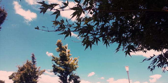 公園と秋空 公園と秋空の写真