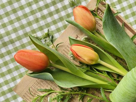 Orange Tulips, JPG