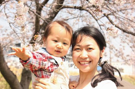 Mother and Child 15 Parents enjoying cherry blossoms, पितृत्व, मुस्कुराता हुआ चेहरा, महिला, JPG